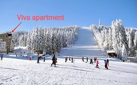 Viva 6 Apartment In Hotel Stenata Pamporovo