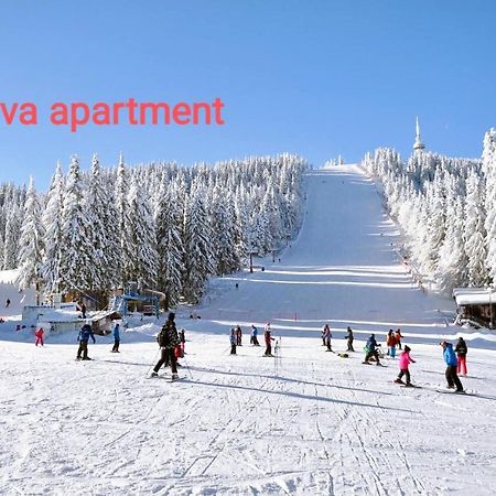 Viva 6 Apartment In Hotel Stenata Пампорово Екстериор снимка